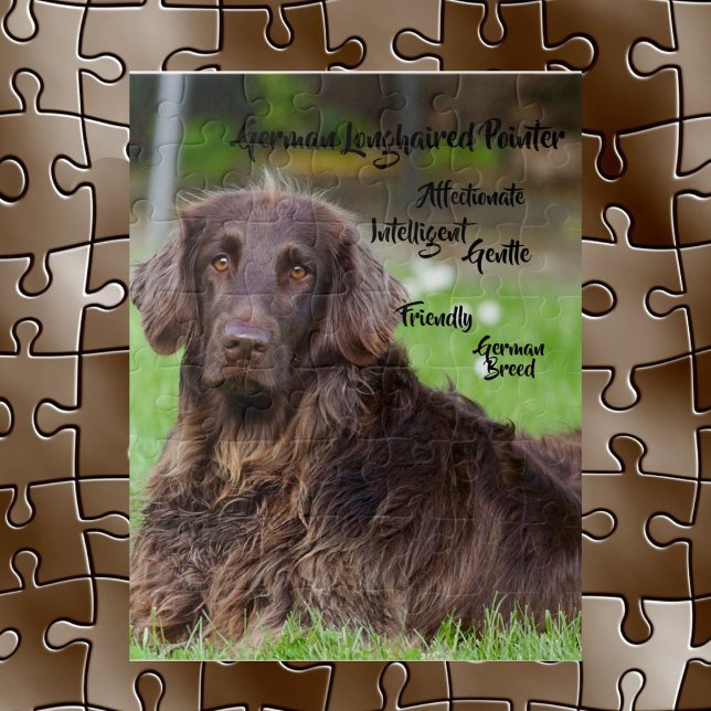 German Long-Haired Pointer Jigsaw Puzzle (Creator Uploaded)
