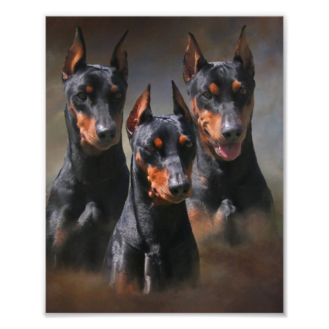 German Pinscher Photo Print (Front)
