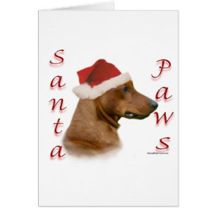 German Pinscher Santa Paws