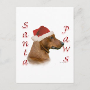 German Pinscher Santa Paws Holiday Postcard