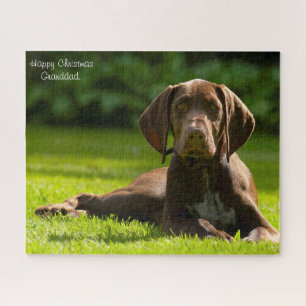 German Pointer Dog. Jigsaw Puzzle