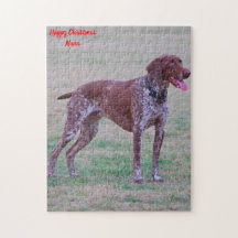 German Pointer Dog.
