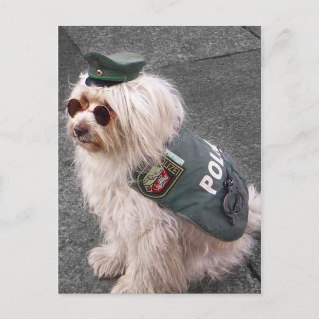 German Police Dog with Handcuffs Postcard (Front)