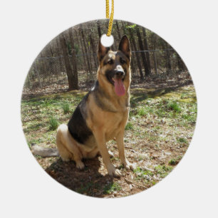 german shepard 3 ceramic ornament