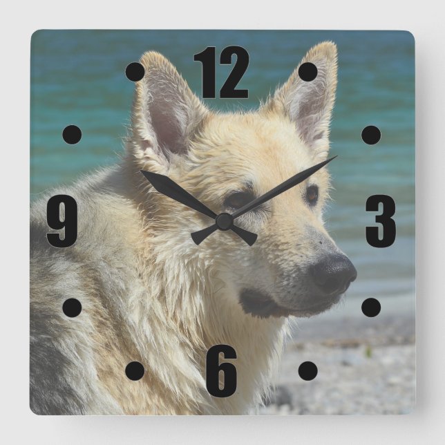 German Shepard By The Sea Square Wall Clock (Front)