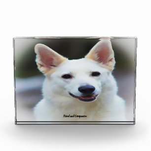 German Shepard Dog. Photo Block