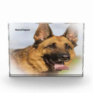 German Shepard Dog. Photo Block