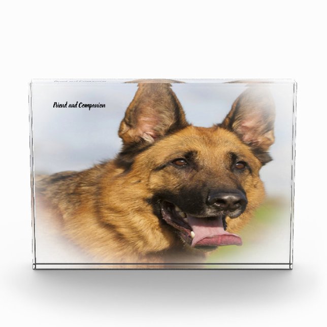 German Shepard Dog. Photo Block (Front)