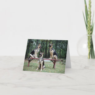German Shepard note card