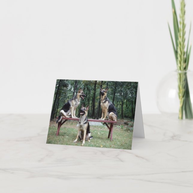 German Shepard note card (Front)