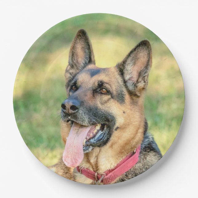 German Shepard Paper Plate (Front)