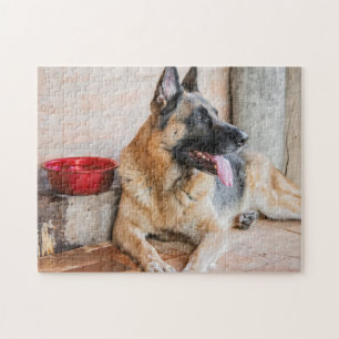German Sheperd Resting By Water Basin Jigsaw Puzzle
