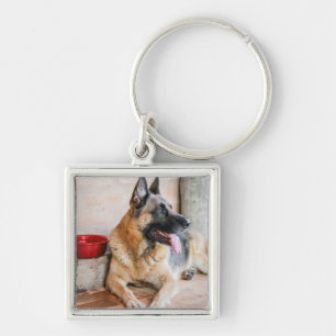 German Sheperd Resting By Water Basin Keychain