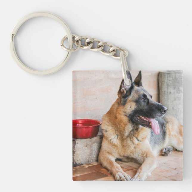 German Sheperd Resting By Water Basin Keychain (Front)
