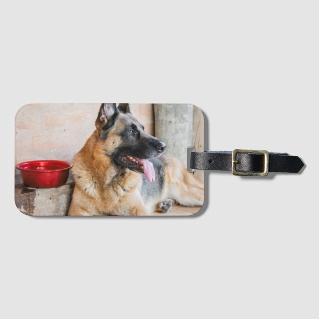 German Sheperd Resting By Water Basin Luggage Tag (Front Horizontal)
