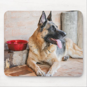 German Sheperd Resting By Water Basin Mouse Pad