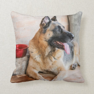 German Sheperd Resting By Water Basin Throw Pillow