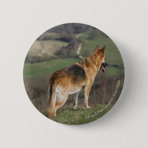 German Shephard Looking Down Hill 2 Inch Round Button