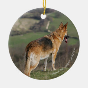 German Shephard Looking Down Hill Ceramic Ornament