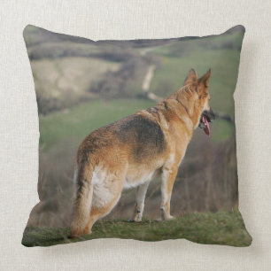 German Shephard Looking Down Hill Throw Pillow