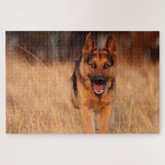 German Shephard Male Dog Jigsaw Puzzle