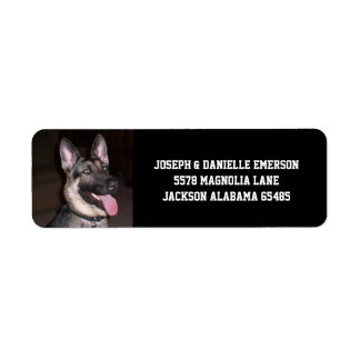 German Shepherd