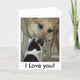 German Shepherd and Kitty Friend Card