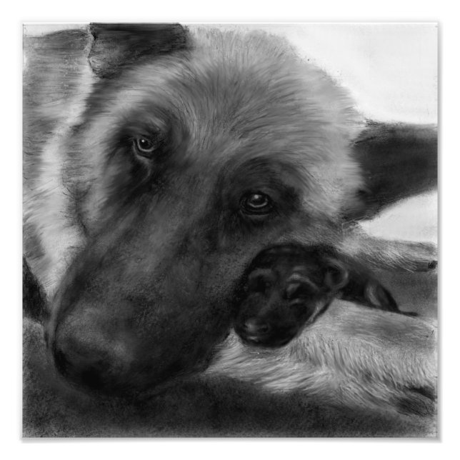 German Shepherd and pup Photo Print (Front)