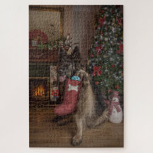 German shepherd at christmas