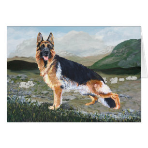 German Shepherd at Work