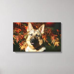 German Shepherd Autumn Leaves Canvas Print