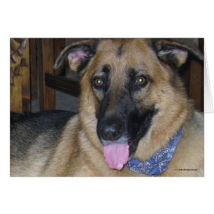 German Shepherd Bandana - Ranch Dog Lover Blank