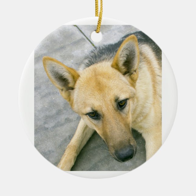 german-shepherd-black and cream ceramic ornament (Front)
