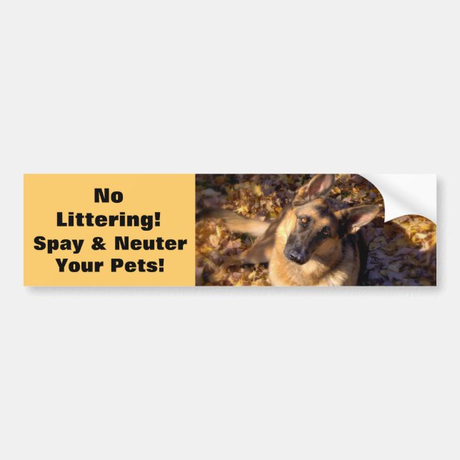 German Shepherd Bumper Sticker (Front)