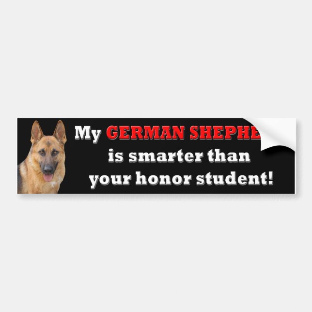 German Shepherd Bumper Sticker Honour Student (Front)