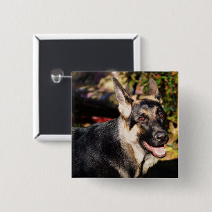 German Shepherd by Shirley Taylor 2 Inch Square Button