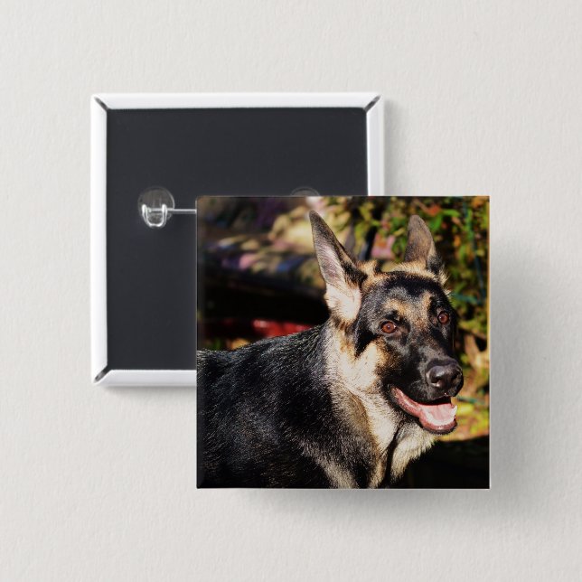 German Shepherd by Shirley Taylor 2 Inch Square Button (Front & Back)