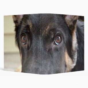 German Shepherd by Shirley Taylor Binder