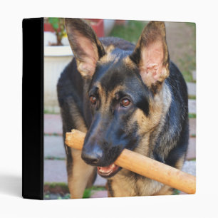 German Shepherd by Shirley Taylor Binder