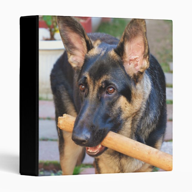 German Shepherd by Shirley Taylor Binder (Front/Spine)