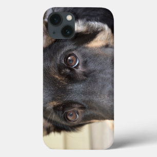 German Shepherd by Shirley Taylor iPhone 13 Case