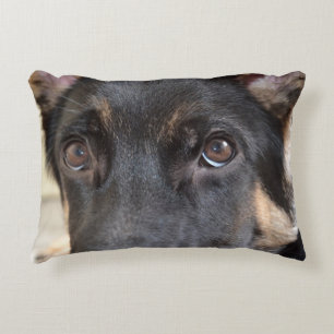 German Shepherd by Shirley Taylor Decorative Pillow