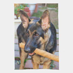 German Shepherd by Shirley Taylor Kitchen Towel