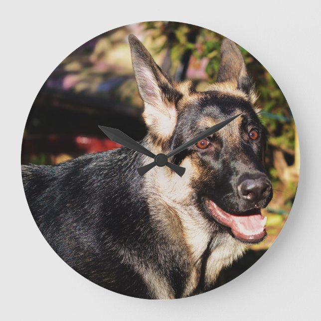 German Shepherd by Shirley Taylor Large Clock (Front)