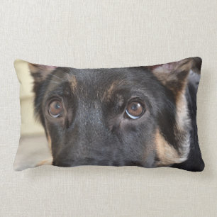 German Shepherd by Shirley Taylor Lumbar Pillow