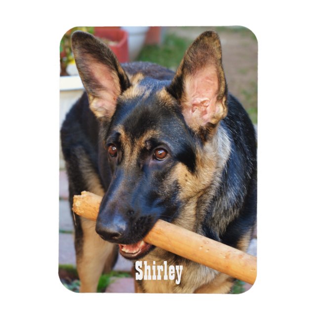 German Shepherd by Shirley Taylor Magnet (Vertical)