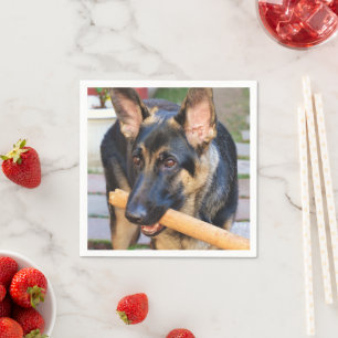 German Shepherd by Shirley Taylor Napkin
