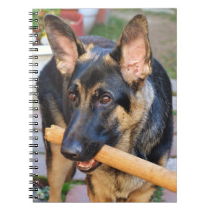 German Shepherd by Shirley Taylor Notebook