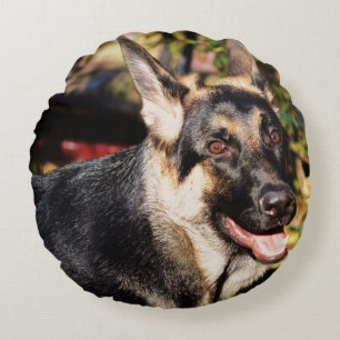 German Shepherd by Shirley Taylor Round Pillow