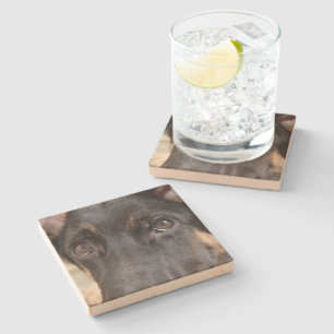 German Shepherd by Shirley Taylor Stone Coaster